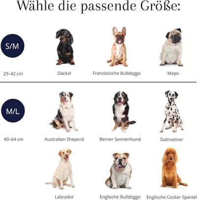 SnelShoppen - Hondenhalsband Vegan Microfiber Leer, Verstelbaar Roze voor Kleine en Middelgrote Honden (S/M 29-41 cm), Comfortabel, Lichtgewicht en Ro