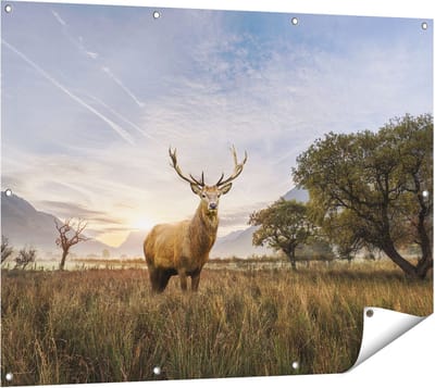 Gards Tuinposter Hert in het Landschap - 120x90 cm - Tuindoek - Tuindecoratie - Wanddecoratie buiten - Tuinschilderij