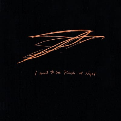 Andrew Bird - I Want To See Pulaski At Night (CD)