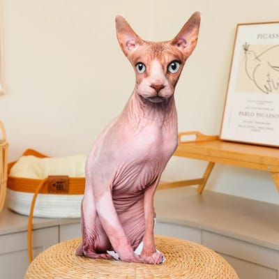 Levensechte 3D Kat Pluche Speelgoed Gevuld Zacht Dier Pop Simulatie Slaapkussen Bankkussen Cartoon Huisdecoratie Cadeau 48cm beige
