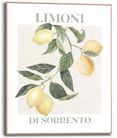 Schilderij Limoni - 50 x 40 - Hout - REINDERS