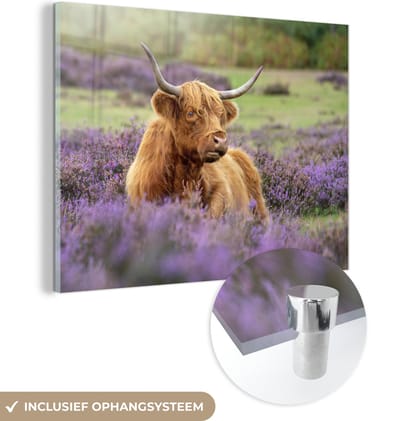 MuchoWow® Glasschilderij 160x120 cm - Schilderij acrylglas - Schotse Hooglander - Bruin - Struiken - Foto op glas - Schilderijen