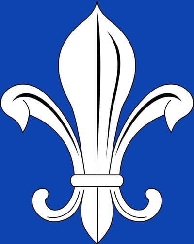 Vlag Mesen 200x300cm