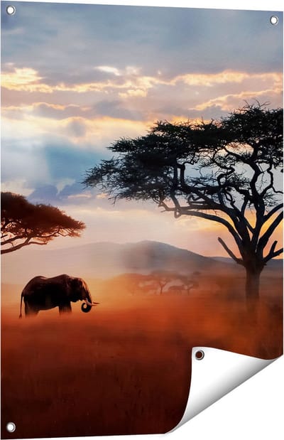 Gards Tuinposter Olifant in het Wild - Savanne - 60x80 cm - Tuindoek - Tuindecoratie - Wanddecoratie buiten - Tuinschilderij