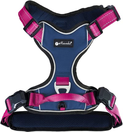 Petlando Hondentuig Navy-Fuchsia met magnetische sluiting - maat XS - 36–46 cm.