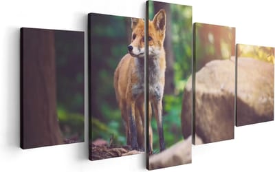 Artaza Canvas Schilderij Vijfluik Vos in het Bos bij Stenen - 100x50 - Foto Op Canvas - Canvas Print