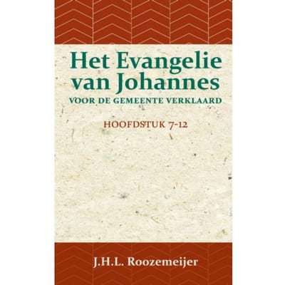 Het Evangelie Van Johannes Voor De Gemeente Verklaard 2 - J.H.L. Roozemeijer
