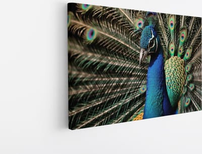 Saammp Canvas Schilderij - Pauw Close-up - Natuur - Dieren - 45x30 - Foto op canvas - Wanddecoratie - Muurdecoratie Woonkamer - Slaapkamer decoratie - Canvas Print