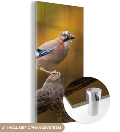 MuchoWow® Glasschilderij 20x40 cm - Schilderij acrylglas - Vogel - Tak - Vlaamse gaai - Foto op glas - Schilderijen