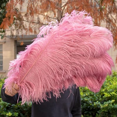 10 STUKS Rode Struisvogelveren Bulk 15-60CM Natuurlijke Veren Voor Knutselen Bruiloft Feest Tafeldecoraties Decoratie Carnaval Plumas 15-20CM 6-8INCH donkerroze kleur