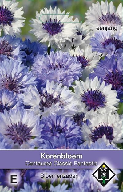 2 stuks Van Hemert & Co Centaurea cyanus Classic Fantastic