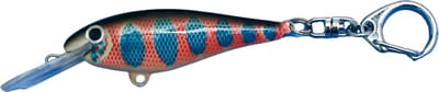 Vis Plug Sleutelhanger Funky Forel Viscadeautje Keyring Cadeau Vissen Streetfishing Cadeau Visser