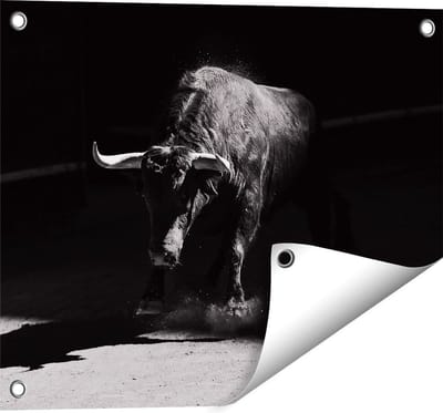 Gards Tuinposter Stier in de Arena - Zwart Wit - 50x40 cm - Tuindoek - Tuindecoratie - Wanddecoratie buiten - Tuinschilderij