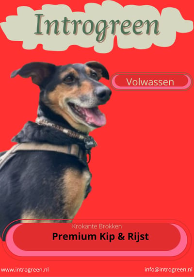 10 Kg Premium Kip & Rijst Hondenbrokken: Voor Een Blije Buik En Een Gezond Lijf!