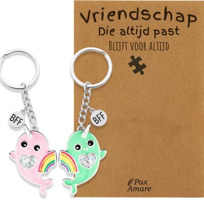 BFF Sleutelhanger voor 2 'Vriendschap die altijd past' - Regenboog Narwal Roze & Groen - Sleutelhanger set op Cadeau Kaartje - Zilverkleurig - Vriendschap Symbool - Pax Amare