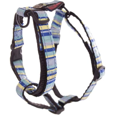 Harnais voor gestreepte honden van nylon Martin Sellier Reg Beach