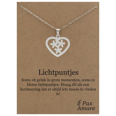 Stainless Steel Hartje met Bloemetjes ketting op Cadeau Kaartje - Lichtpuntjes - 45cm Zilverkleurig Roestvrij Staal - Pax Amare