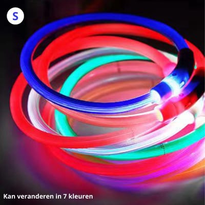 Nivard Lichtgevende Halsband - Verlichte Halsband - Lichtgevend - Hond - Kat - Lampje - Hondenhalsband Led - Oplaadbaar - Gemengde Kleuren - S