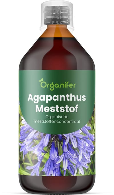 Vloeibare Meststof Voor Agapanthus - 1 L Voor 1000 L - Npk 2-1-8 - Voor Levendige Bloemschermen - Knopvorming - Rechtopstaande Bloemstelen - Kkrachtige Wortelontwikkeling - Hittebestendig - Bodemleven - Organifer