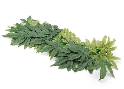 Dailygoods- Kunstplanten Levensecht - Kunstplanten voor Binnen - Kunstplanten voor Buiten - Decoratie voor Terrarium - Kunstmatige Plant 30/40/50cm - Duurzaam en Veilig Materiaal - Nepplant