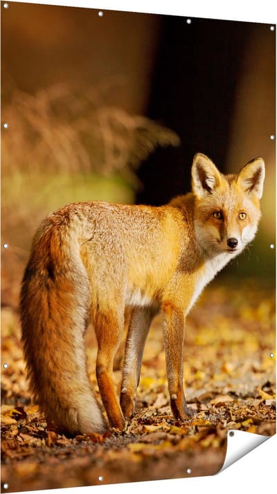 Gards Tuinposter Vos in het Herfstbos - 120x180 cm - Tuindoek - Tuindecoratie - Wanddecoratie buiten - Tuinschilderij