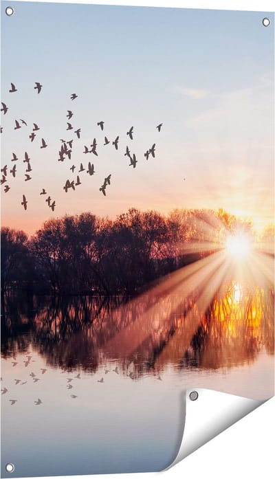 Gards Tuinposter Groep Vogels Boven de Meer met Zonsondergang - 60x90 cm - Tuindoek - Tuindecoratie - Wanddecoratie buiten - Tuinschilderij
