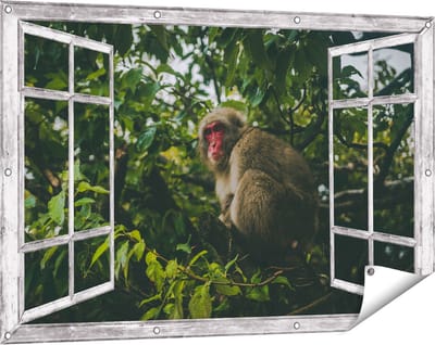 Gards Tuinposter Doorkijk Aap in de Boom tussen de Bladeren - 120x80 cm - Tuindoek - Tuindecoratie - Wanddecoratie buiten - Tuinschilderij