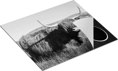 Chefcare Inductie Beschermer Schotse Hooglander Koe - Kleur - Zwart Wit - 60x50 cm - Afdekplaat Inductie - Kookplaat Beschermer - Inductie Mat