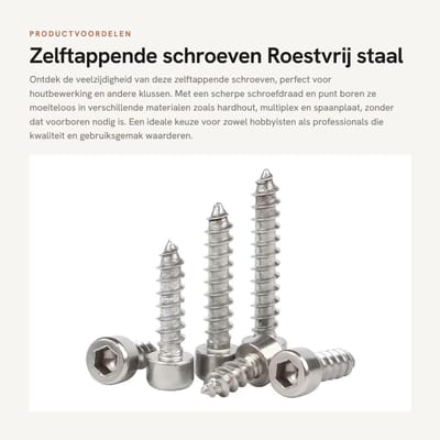 Dailygoods- Zelftappende Schroeven 304 Roestvrij Staal - Cilinderkop - M4x30mm - Houtschroeven - Assortiment 40 Stuks - Geschikt voor Houtbewerking