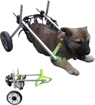 Huisdier Rolstoel - Hondenkar Loopauto - Huisdier Mobiliteit - Verstelbaar Aluminium Frame - Maat XS - Zilver