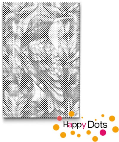 HappyDots DOT Painting Vogels 19 - 40x60cm