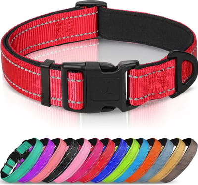 Hondenhalsband, breed gevoerd hondenhalsband van neopreen en nylon, verstelbaar hondenhalsband, zacht en reflecterend, voor grote honden, XS, rood
