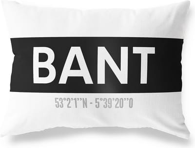 Tuinkussen BANT - FLEVOLAND met coördinaten - Buitenkussen - Bootkussen - Weerbestendig - Jouw Plaats - Studio216 - Modern - Zwart-Wit - 50x30cm