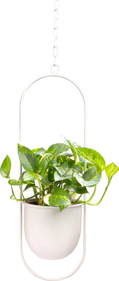 QUVIO Hangende Bloempot – Bloempot voor binnen – Bloempotten – Bloempot binnen- Bloempot – Hangbloempotten binnen – Hang bloempot – Bloempot hangend – Bloempot lichtgrijs – Hangende bloempot wit – Metaal – Langwerpig - Grijs