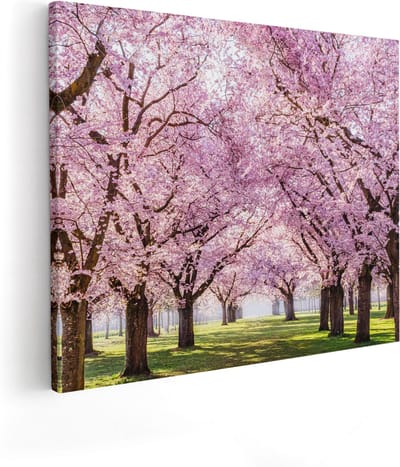 Artaza Canvas Schilderij Bloesembomen - 50x40 cm - Wanddecoratie Woonkamer - Muurdecoratie Landschap - Kamer Accessoires Lente
