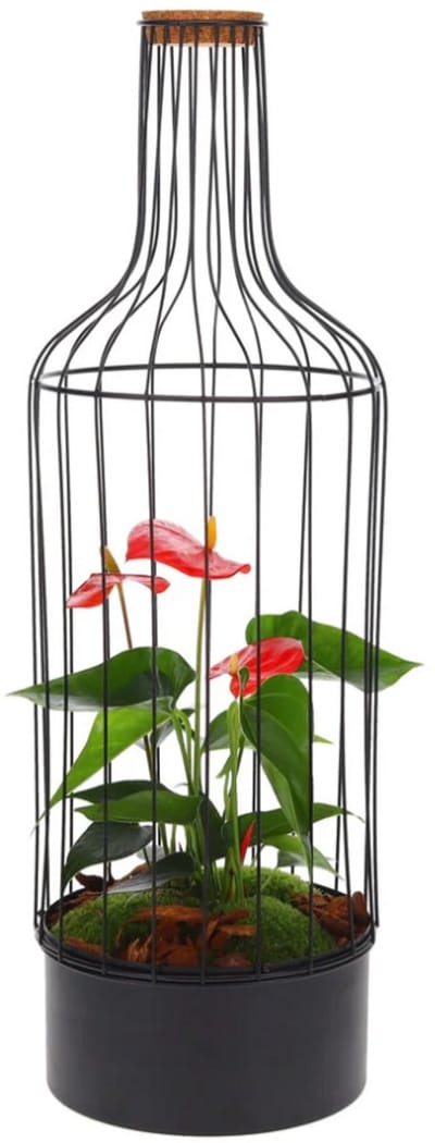 The Green Stylish Garden - Bottle metaal Anthurium L - Terrarium - Flessentuin - Anthurium - kant en klaar