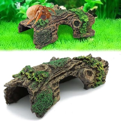 Ronte - Verstopplaats voor garnalen in aquarium en terrarium - Holte Tunnel Accessoires - Natuurlijke uitstraling - 14cm x 6cm x 5,5cm.