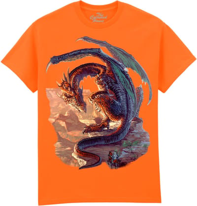 Draak Bravery Misplaced The Coloured House T-shirt XXL