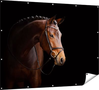 Gards Tuinposter Bruin Paard op een Zwart Achtergrond - 160x120 cm - Tuindoek - Tuindecoratie - Wanddecoratie buiten - Tuinschilderij