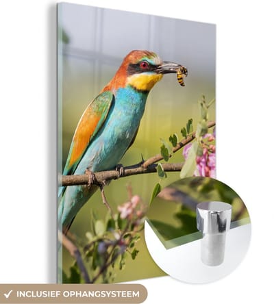 MuchoWow® Glasschilderij 30x40 cm - Schilderij acrylglas - Vogel - Bijeneter - Bloemen - Foto op glas - Schilderijen
