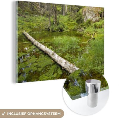 ® Glasschilderij 180x120 cm - Schilderij acrylglas - Vijver in de bossen van het Nationaal park Tiveden in Zweden - Foto op glas - Muurdecoratie woonkamer - Wanddecoratie slaapkamer - Schilderijen