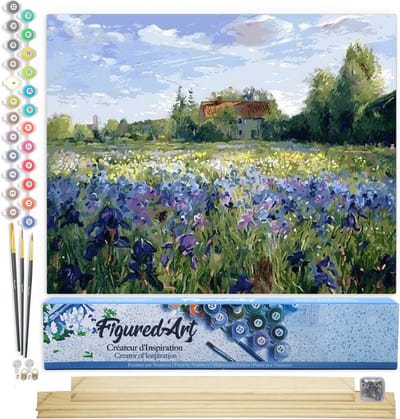 Figured'Art Schilderen op Nummer Volwassenen canvas Platteland veld en blauwe bloemen - Handwerk acrylverf Kit DIY Compleet - 40x50cm met DIY houten lijst