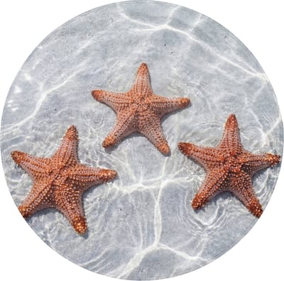 Badmat rond 70x70 cm - Antislip - Zeesterren - Water - Helder - Badmatten voor badkamer - Badkamermat - Douchemat - Ronde badkamer mat