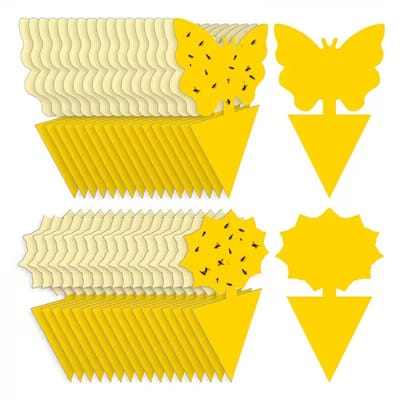 Gele Sticky Fruitvlieg Vallen – 30 Stuks Plakvallen voor Fruitvliegjes, Muggen & Kleine Insecten