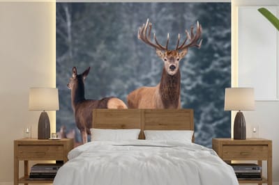 Behang - Fotobehang Bosdieren - Hert - Landschap - Winter - Sneeuw - Natuur - Breedte 350 cm x hoogte 350 cm