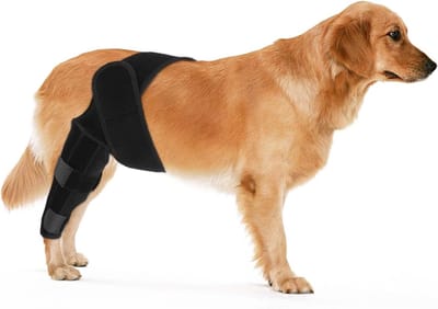 Hond achterpootsteunen voor knieproblemen, ACL-brace voor honden, steun voor achterbenen, maat M (Zwart)