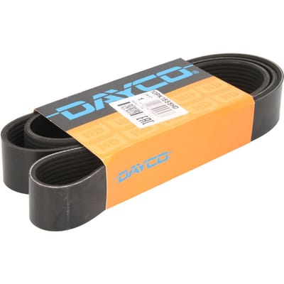 V-riem DAYCO 10PK1555HD