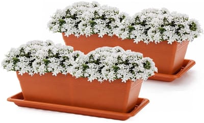 Plasticforte Plantenbakken met water opvangschotels - terracotta - 2x stuks - 60 x 20 x 15 cm - tuin - balkon - terras - rechthoek