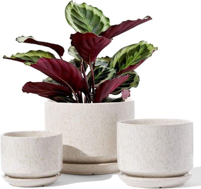 Set van 3 keramische plantenpotten met drainage, 11+13+17 cm, beige