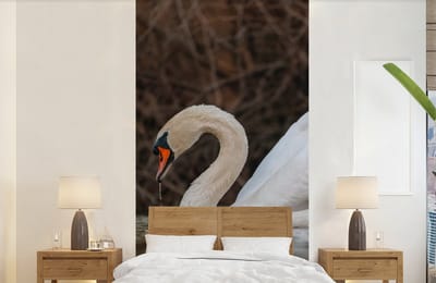 Behang - Fotobehang Zwaan - Water - Dieren - Vogel - Breedte 120 cm x hoogte 240 cm